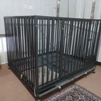 قفس سگ