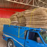 لایه کارتن سالم|عمدهفروشی|کرج, گلشهر|دیوار