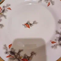 بشقاب چینی