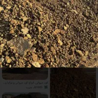 کود حیوانی گوسفندی