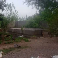 فروش-زمین-مسکونی-درروستای-باقلاکش-نوخاله