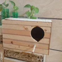 لونه عروس هلندی تمیز با پوشال داخل لونه