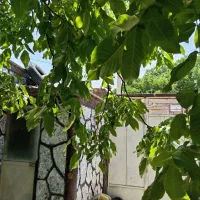 فروش خونه ویلایی