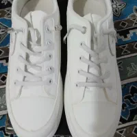 کفش|کیف، کفش، کمربند|سیرجان, |دیوار