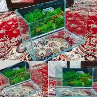 آکواریوم شیشه خم