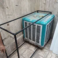 رگال و تخته