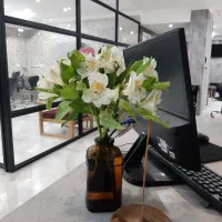 شرایط عالی همکاری درسالن زیبایی