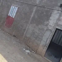 فروش زمین جاده نظامی|فروش دفتر صنعتی، کشاورزی، تجاری|سمنان, |دیوار