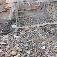 توری کفتر ومرغ. . فقط تماس|لوازم جانبی حیوانات|تربت جام, خیرآباد|دیوار