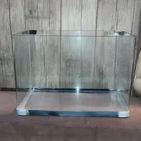 اگواریوم خم  سالم