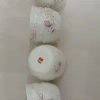 ظرف آرکوپال