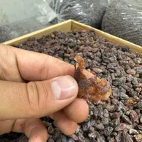 کشمش آفتابی پاک‌شده چرخ رایگان|عمده‌فروشی|همدان, |دیوار