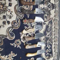 فروش تعدادی زنجانی