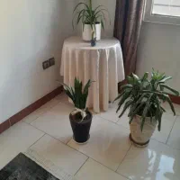 میزخاطره