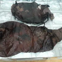 مشک دوغ سالم|ظروف نگهدارنده، پلاستیکی، یک‌بارمصرف|خمینی‌شهر, |دیوار