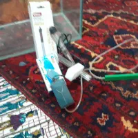 آکواریم|ماهی|بروجرد, |دیوار