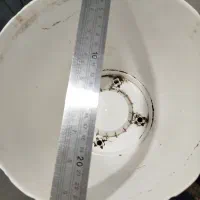 شش عدد گلدان پلاستیکی در حد خیلی نو|گل و گیاه طبیعی|سبزوار, علمدار|دیوار