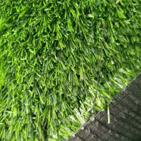 چمن مصنوعی|گل مصنوعی|شیراز, اصلاح‌نژاد|دیوار