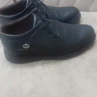 کفش چرمی|کیف، کفش، کمربند|قوچان, |دیوار