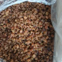 کشمش واشد رایس و ۵۰۰۷ بار قبل