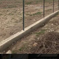 فنس زنی|خدمات باغبانی و درختکاری|رشت, جانبازان|دیوار