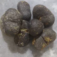 عنبر نسارا یا پشگل الاغ ماده یا سرگین خر