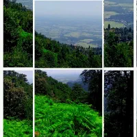 اجاره ویلا روزانه آپارتمانی نوساز با امکانات کامل|اجارهٔ کوتاه‌مدت آپارتمان و سوئیت|ماسال, |دیوار