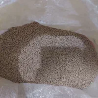 دان سوپر استارتر جوجه طوطی کبوتر