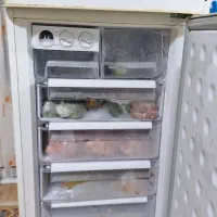 یخچال فریزر الکترواستیل|یخچال و فریزر|رشت, پیرکلاچای|دیوار