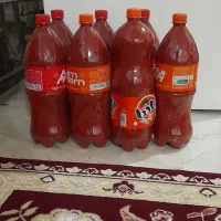 رب خانگی