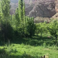 باغ فروشی واقع در روستای مهاباد( فیروزکوه)|فروش دفتر صنعتی، کشاورزی، تجاری|فیروزکوه, |دیوار