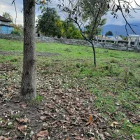 ۲۰۰ متر زمین  سند  تکبرگ  خیابان سی انجی