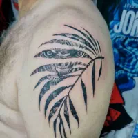 اجرای حرفه ای تاتو|خدمات آرایشگری و زیبایی|مرودشت, دولت آباد|دیوار