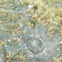 زمین باغی معاوظع هم دارم|فروش خانه و ویلا|قروه, |دیوار