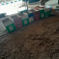 خریدخرما درج دو