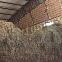 کمل داخل انبار وزنی بسته شده