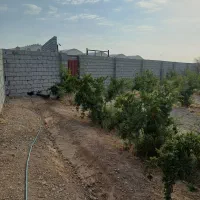 باغ  فروشی جلال آباد (علی آباد) زیر قیمت کارشناسی|فروش زمین و ملک کلنگی|نجف‌آباد, حومه نجف آباد|دیوار
