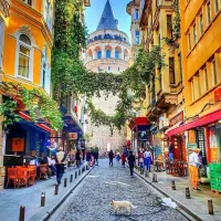 تور سال نو به /+ مشهد کیش قشم  هیجان انگیز