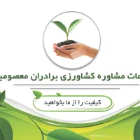 فروش انواع نهال پسته بادام انار