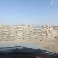 سیمان سیستان