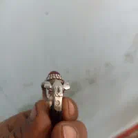 لوازم شخصی|جواهرات|تربتحیدریه, رضاشهر|دیوار