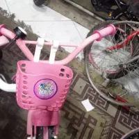 سالم جنس خوب برای دو سال تا ۷ سال مناسب کناره بوده