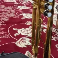 شیپوریاماها|سازهای بادی|خمینی‌شهر, |دیوار