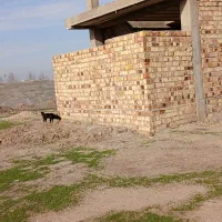 زمین ۱۱۰ متر نگین شهر|فروش زمین و ملک کلنگی|نگین شهر, |دیوار