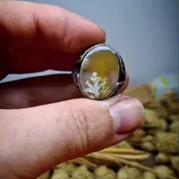 زمینه لیمویی انگشتر شجر