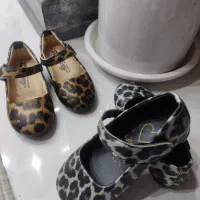 کفش اسپرت|کیف، کفش، کمربند|قم, چهل درخت|دیوار