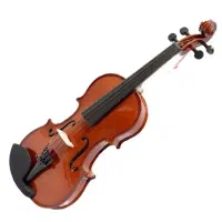 ویولن آماتی 100