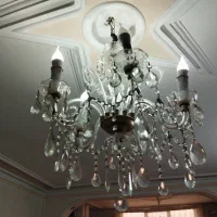 لوسترپنج شاخه قدیمی