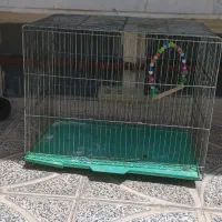 قفس بزرگ