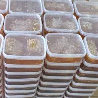 فروش مستقیم محصولات طبیعی (عسل باموم،عسل،ژل رویال)|خوردنی و آشامیدنی|داراب, |دیوار